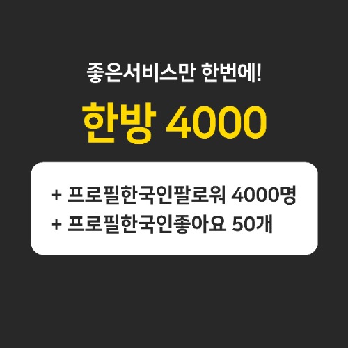 인스타팔로워,좋아요늘리기ㅣ인스타고 - [한국인] 한방관리4000
